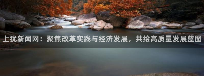 上犹新闻网：聚焦改革实践与经济发展，共绘高质量发展蓝图