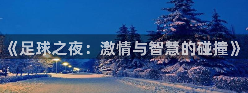 《足球之夜：激情与智慧的碰撞》