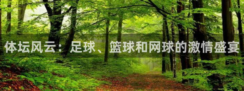 体坛风云：足球、篮球和网球的激情盛宴