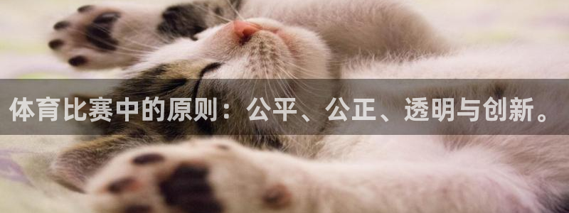 体育比赛中的原则：公平、公正、透明与创新。