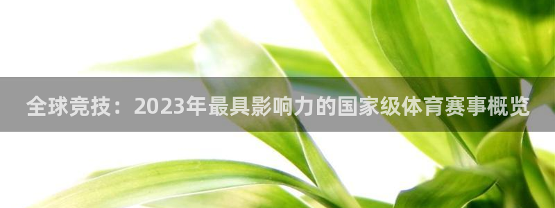 全球竞技：2023年最具影响力的国家级体育赛事概览