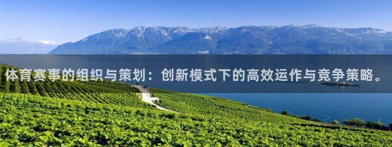 体育赛事的组织与策划：创新模式下的高效运作与竞争策略。