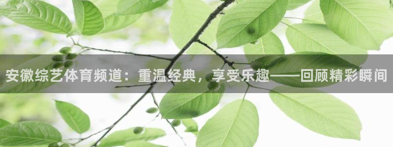 安徽综艺体育频道：重温经典，享受乐趣——回顾精彩瞬间
